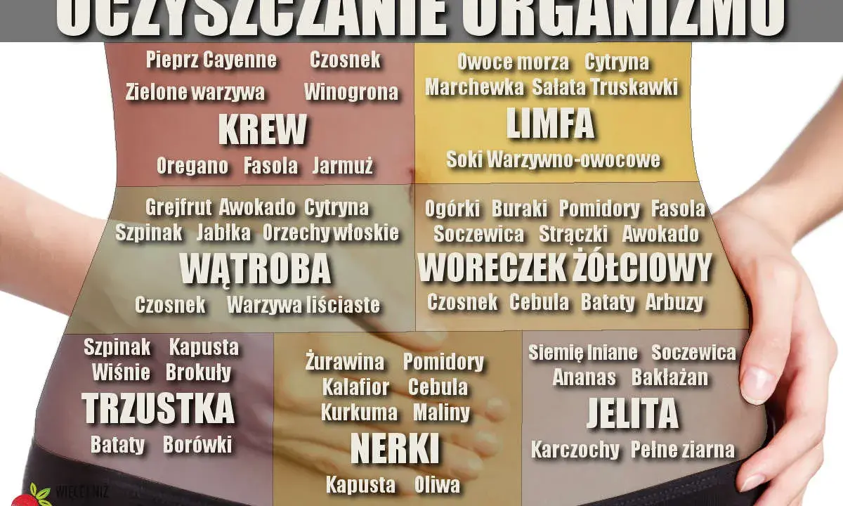 Dieta oczyszczająca 3-dniowa przepisy: lista produktów wspierających KREW, WĄTROBĘ, TRZUSTKĘ, NERKI, JELITA i LIMFĘ.