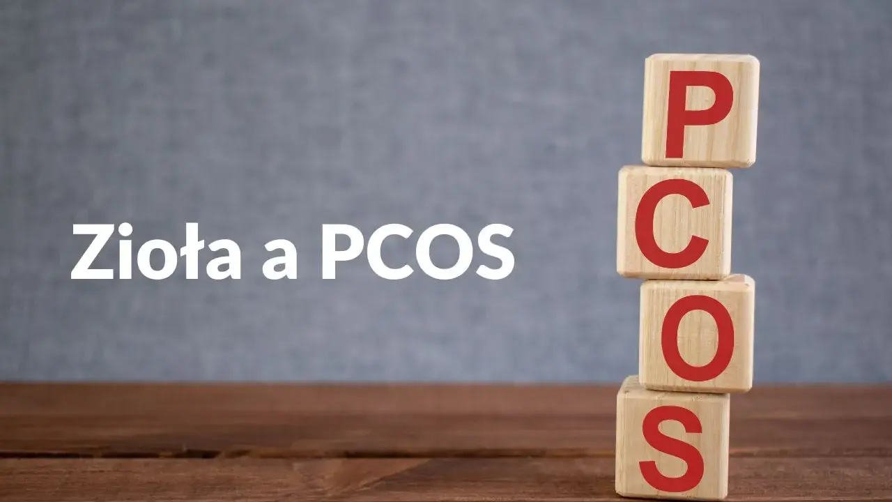 Drewniane klocki z literami PCOS ułożone w stos. Obok napis "Zioła a PCOS", sugerujący naturalne wsparcie w leczeniu.