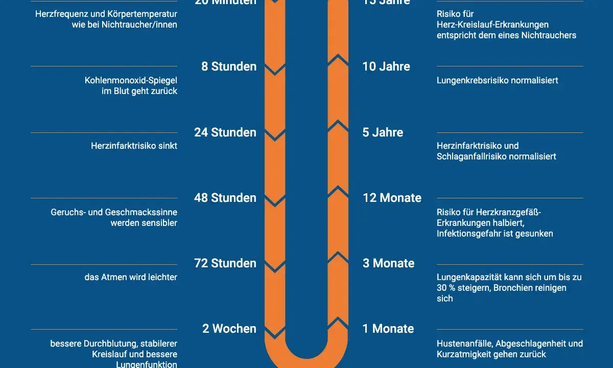 Zeitstrahl zeigt die **Lungenregeneration** nach dem Rauchstopp: Herzfrequenz normalisiert sich, Risiko für Herzinfarkt und Lungenkrebs sinkt, Lungenkapazität steigt.