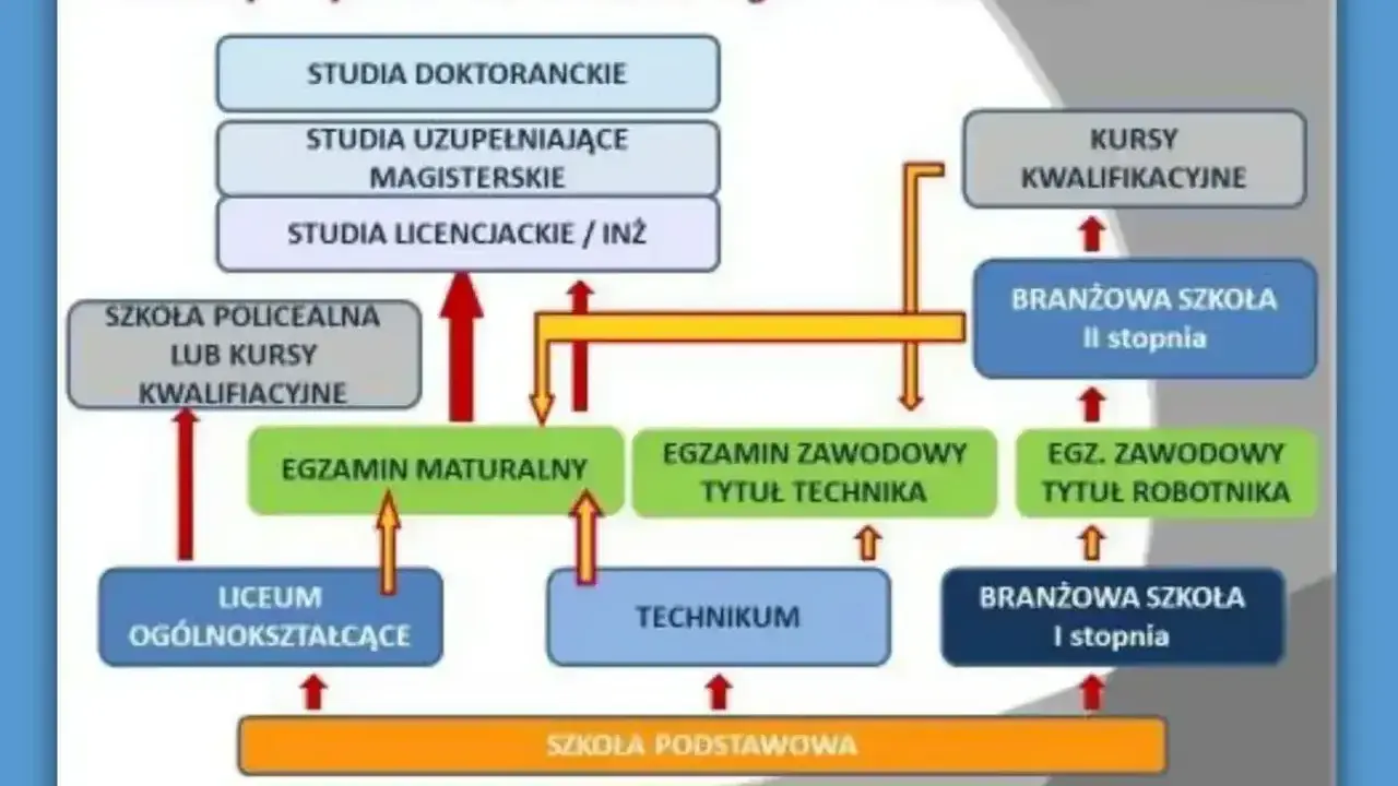 Schemat ścieżek edukacji. Czy zeby isc na studia trzeba miec mature? Tak, matura jest kluczowa do studiów licencjackich i magisterskich.