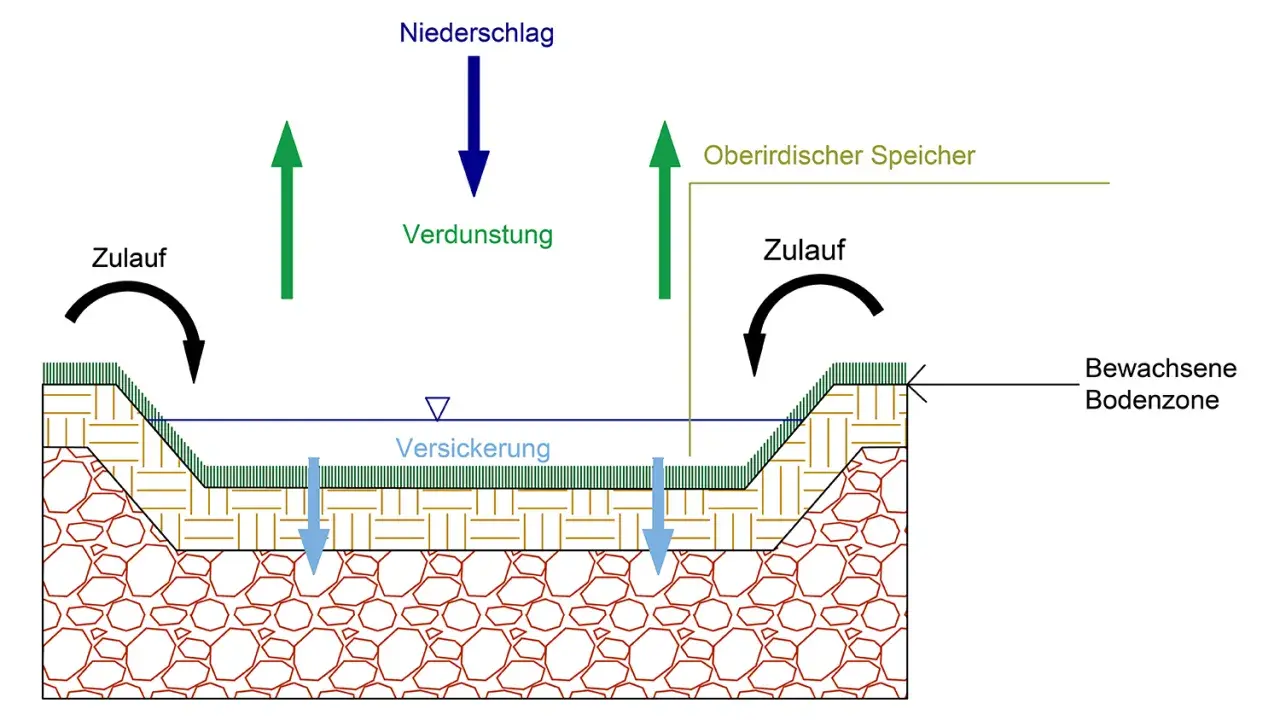 Schema einer Sickermulde: Regenwasser versickert, verdunstet und fließt zu. Oberirdischer Speicher und bewachsene Bodenzone sind dargestellt.