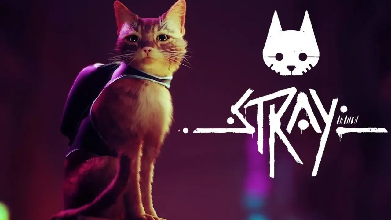 Rudy kot w plecaku, bohater gry Stray, zastanawia się, ile godzin minęło od jego zaginięcia.