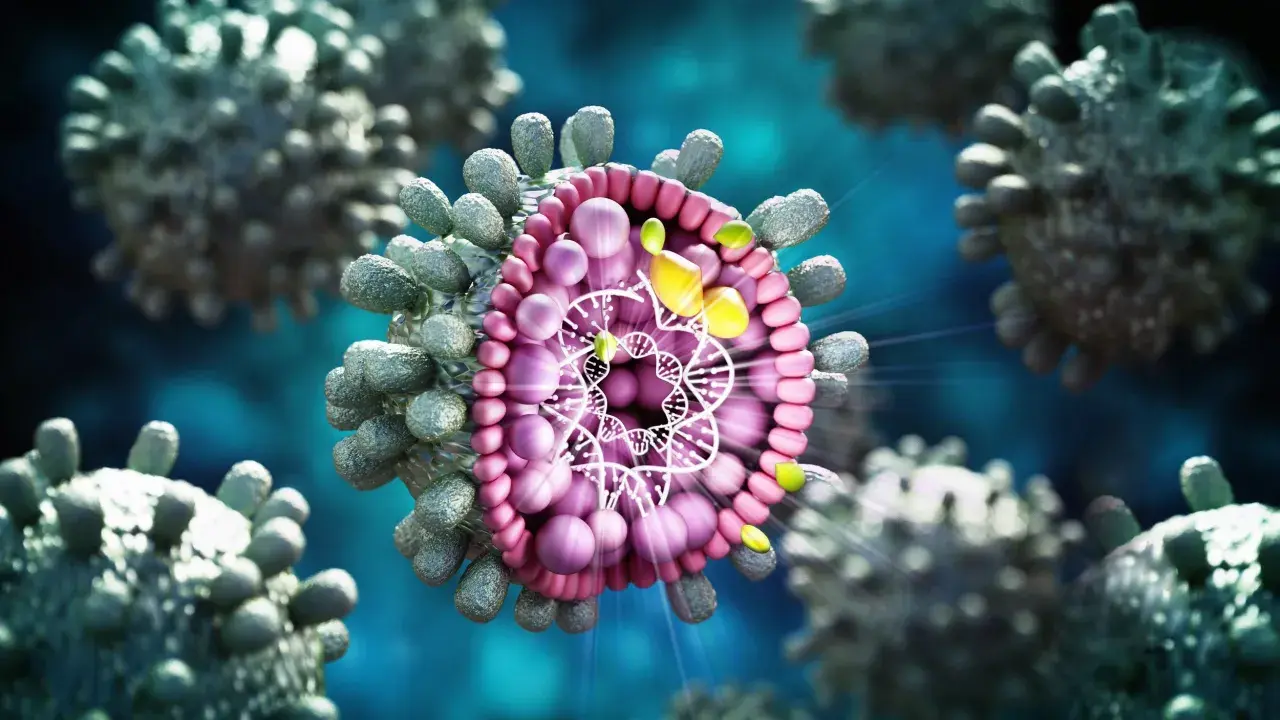 Detaljerad bild av hepatit B-virus. Inkubationstiden kan variera, men viruset sprider sig snabbt.