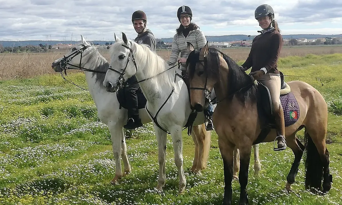 Drei Reiter auf Pferden in einer blühenden Wiese bei Golega, Portugal.