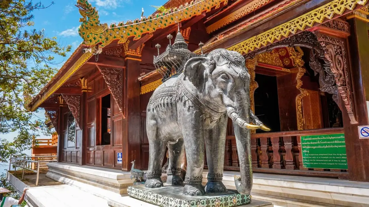 Chiang Mai atrakcje: kamienny słoń przed ozdobną świątynią z bogato zdobionym dachem.