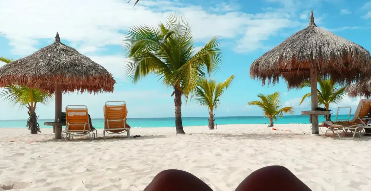 Soligt och varmt på Aruba i december. Palmer, parasoller och tomma solstolar på en vit sandstrand vid turkost hav.