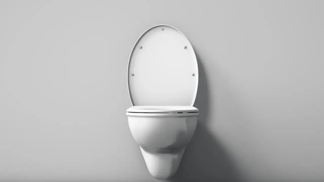 Biała, wisząca miska WC z otwartą klapą. Wykonana z duroplastu, który jest trwałym tworzywem.