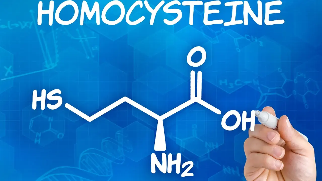 Homocysteina: Cichy wróg zdrowia? Obniż ją skutecznie!