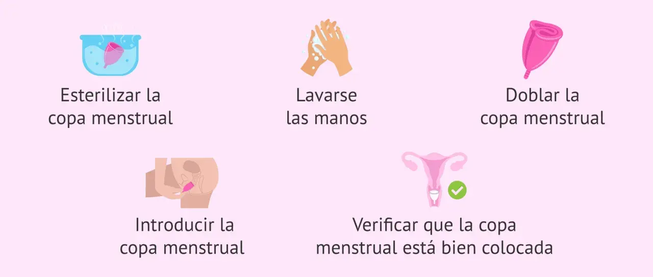 Guía visual: esterilizar, lavarse las manos, doblar, introducir y verificar la copa menstrual. Así es para qué sirve la regla de higiene.