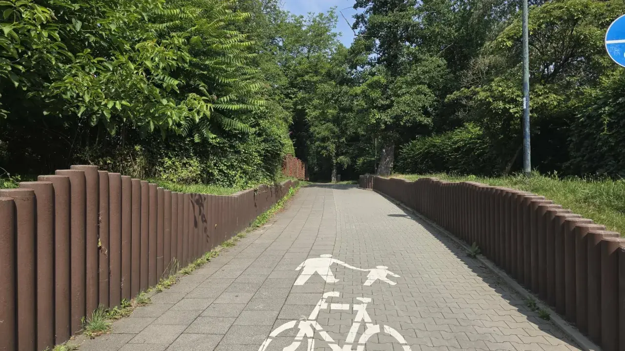 Ścieżka rowerowa w parku Młynówka Królewska, z zielenią po bokach i znakiem rowerzysty na kostce brukowej.