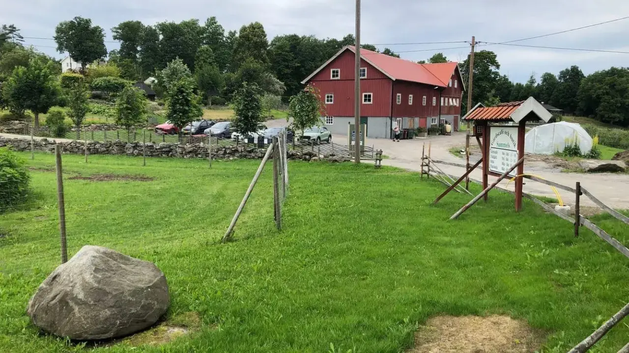 Grönskande gräsmatta med en stor sten framför en röd ladugård på Sammels lantgård. En skylt visar vägen till gårdskafé och butik.