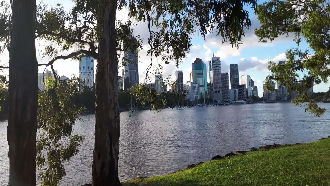 Vista del grande porto australiano con grattacieli sullo sfondo, alberi in primo piano e un fiume tranquillo.