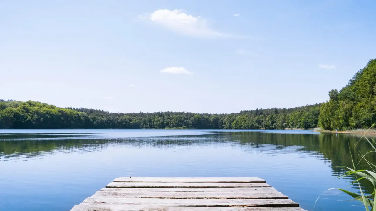 Holzsteg am ruhigen See, umgeben von grünen Wäldern. Ein perfekter Ort für einen geheimtipp mecklenburgische seenplatte Urlaub.