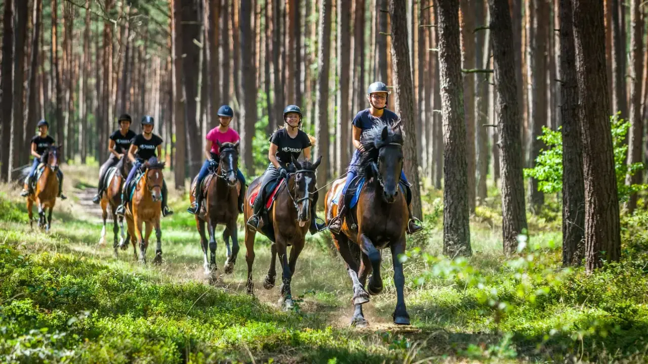 Grupa osób na koniach jedzie przez las.
