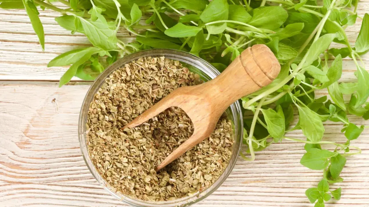 Suszone oregano w misce i świeże gałązki. Idealne do pizzy, sosów pomidorowych i dań kuchni śródziemnomorskiej. Oregano do jakich potraw? Do wszystkiego co pyszne!