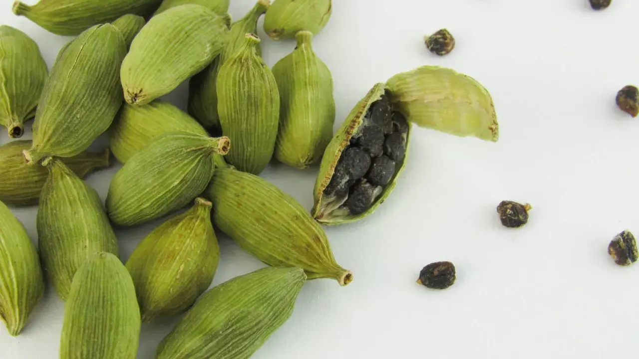 Gousses de cardamome verte, dont une ouverte révélant ses graines noires. Découvrez les cardamome bienfaits pour la santé et la cuisine.