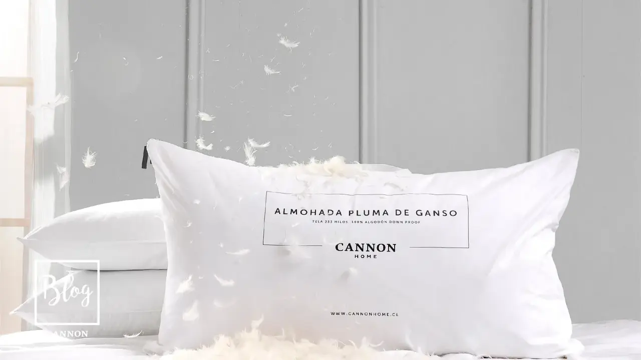 Almohadas de plumas son malas. Plumas flotan por todas partes, cubriendo la almohada Cannon Home.