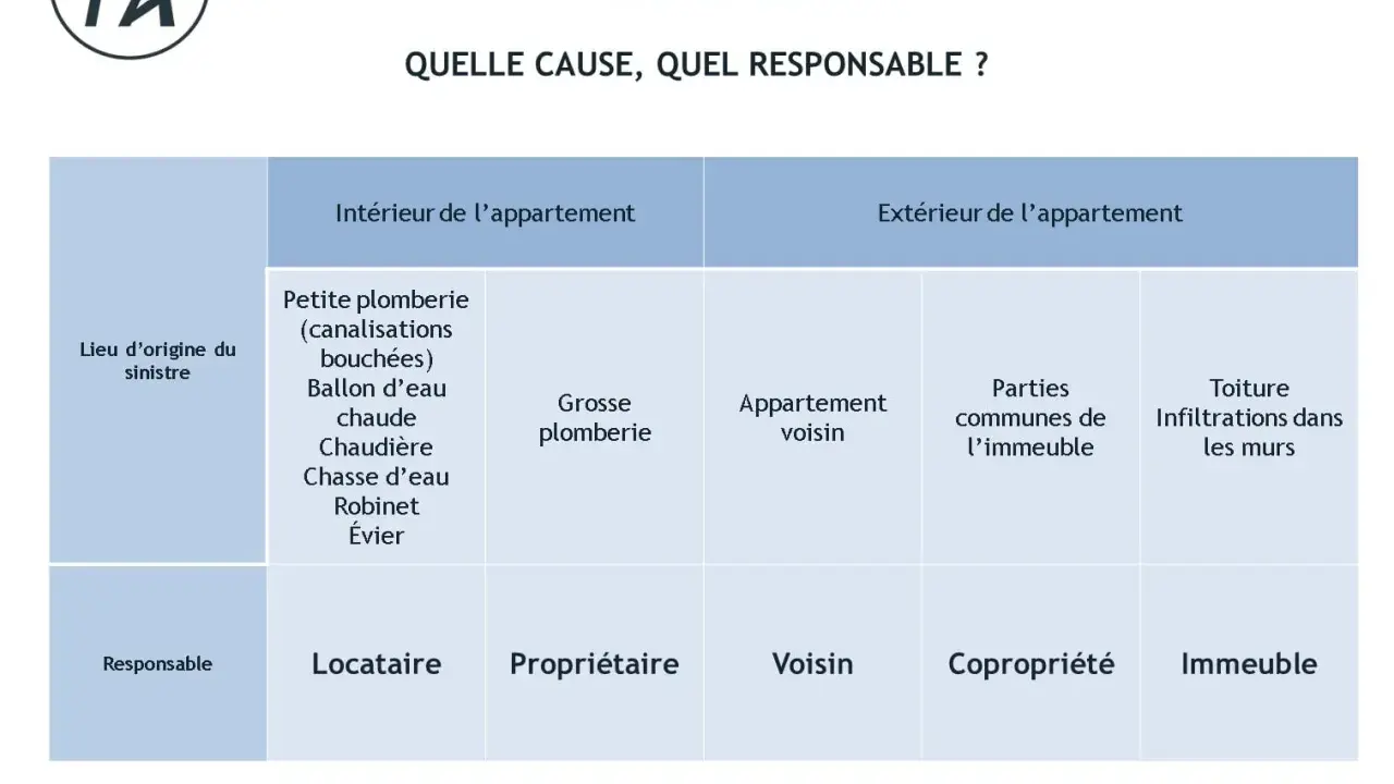 Tableau "Dégât des eaux : Quelle cause, quel responsable ?" montrant les origines (intérieur/extérieur) et les responsables (locataire, propriétaire, voisin, copropriété, immeuble) d'un dégât des eaux.