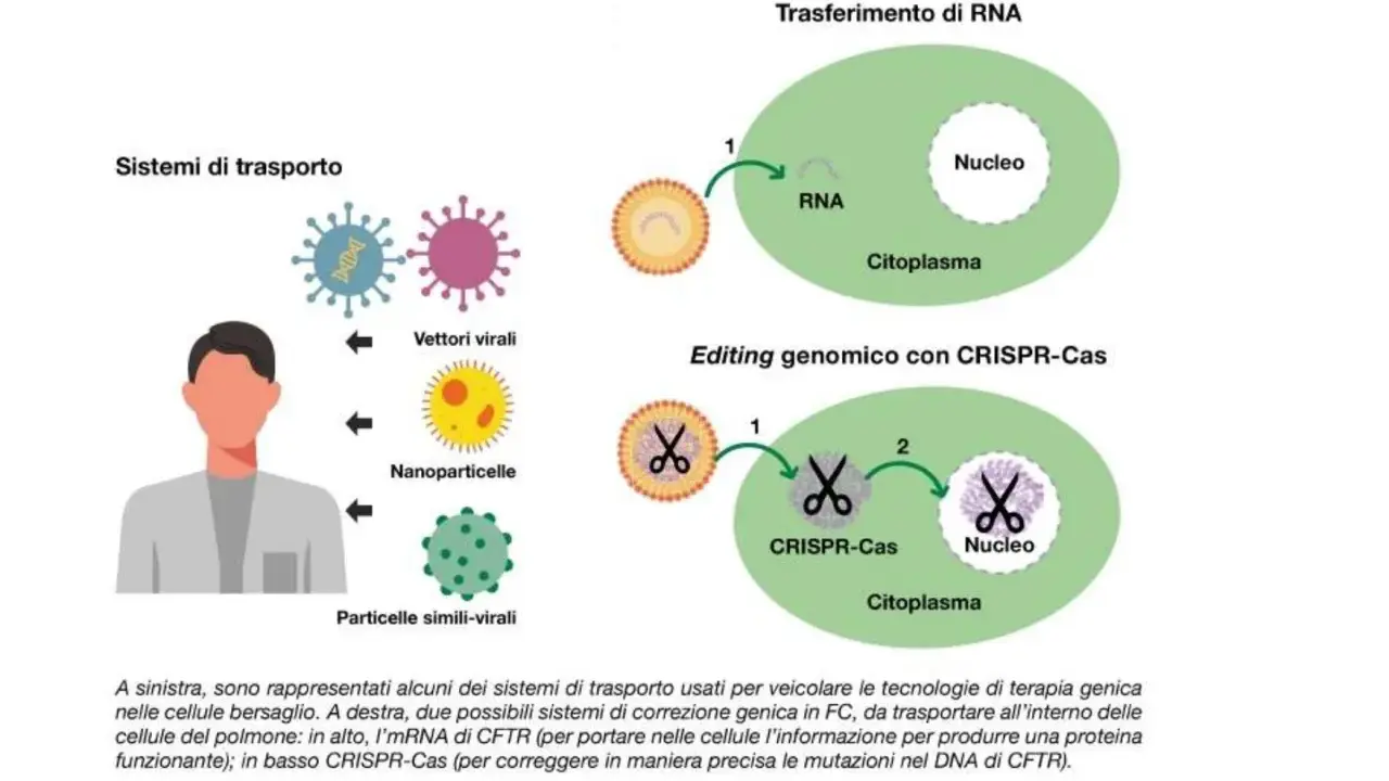 Illustrazione di sistemi di trasporto per terapia genica, inclusi vettori virali e nanoparticelle, per correggere mutazioni genetiche, come quelle nella fibrosi cistica.