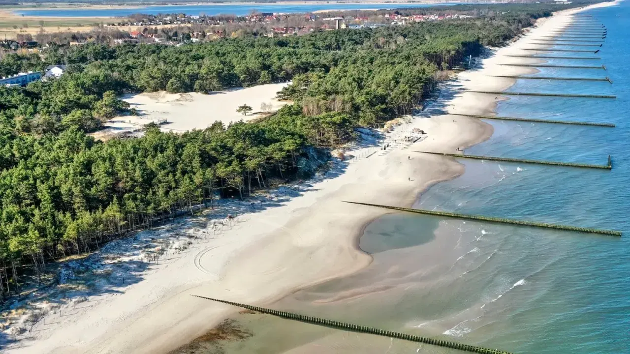 Piękna plaża w Rogowie z sosnowym lasem w tle i drewnianymi falochronami w morzu.