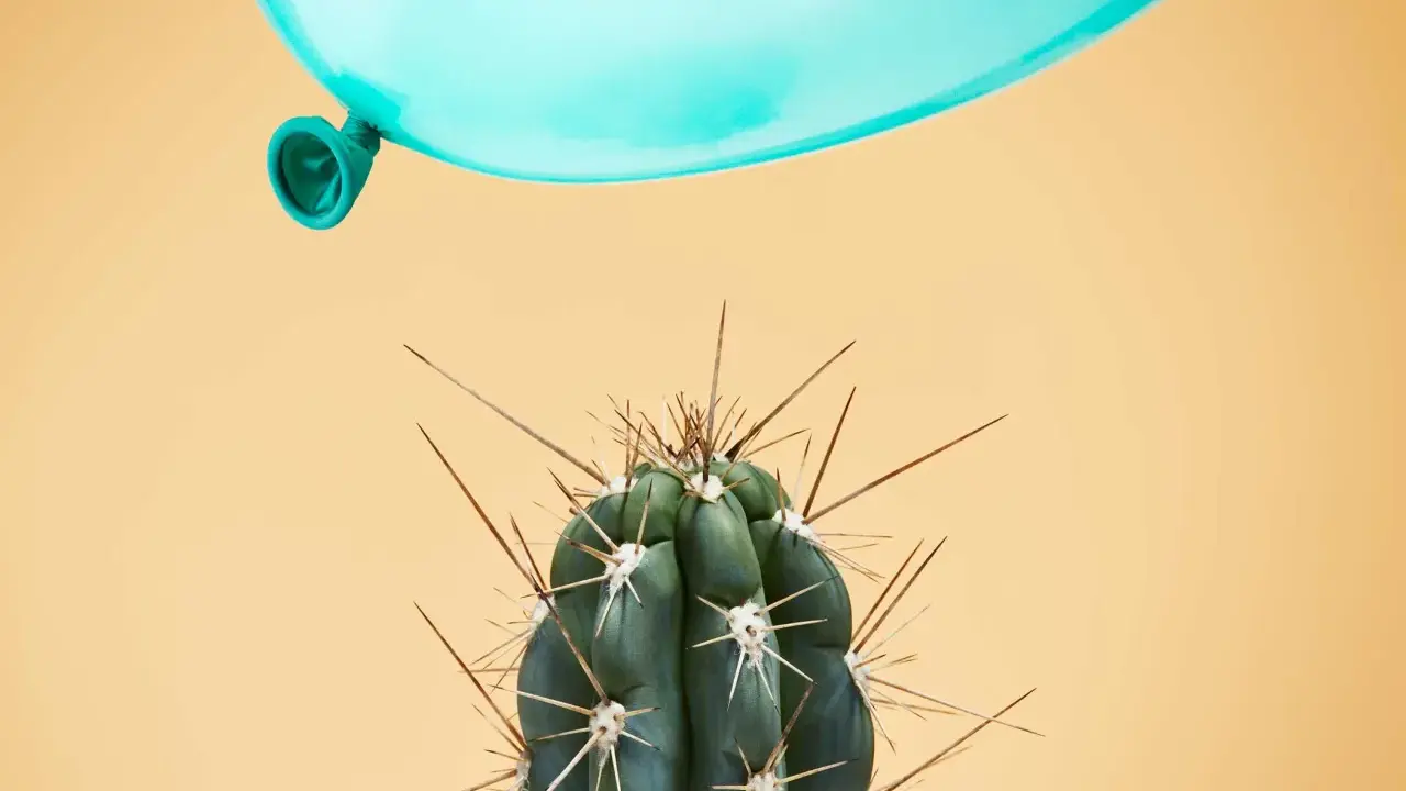 Un palloncino azzurro incombe su un cactus spinoso, metafora dei sintomi di una persona instabile.