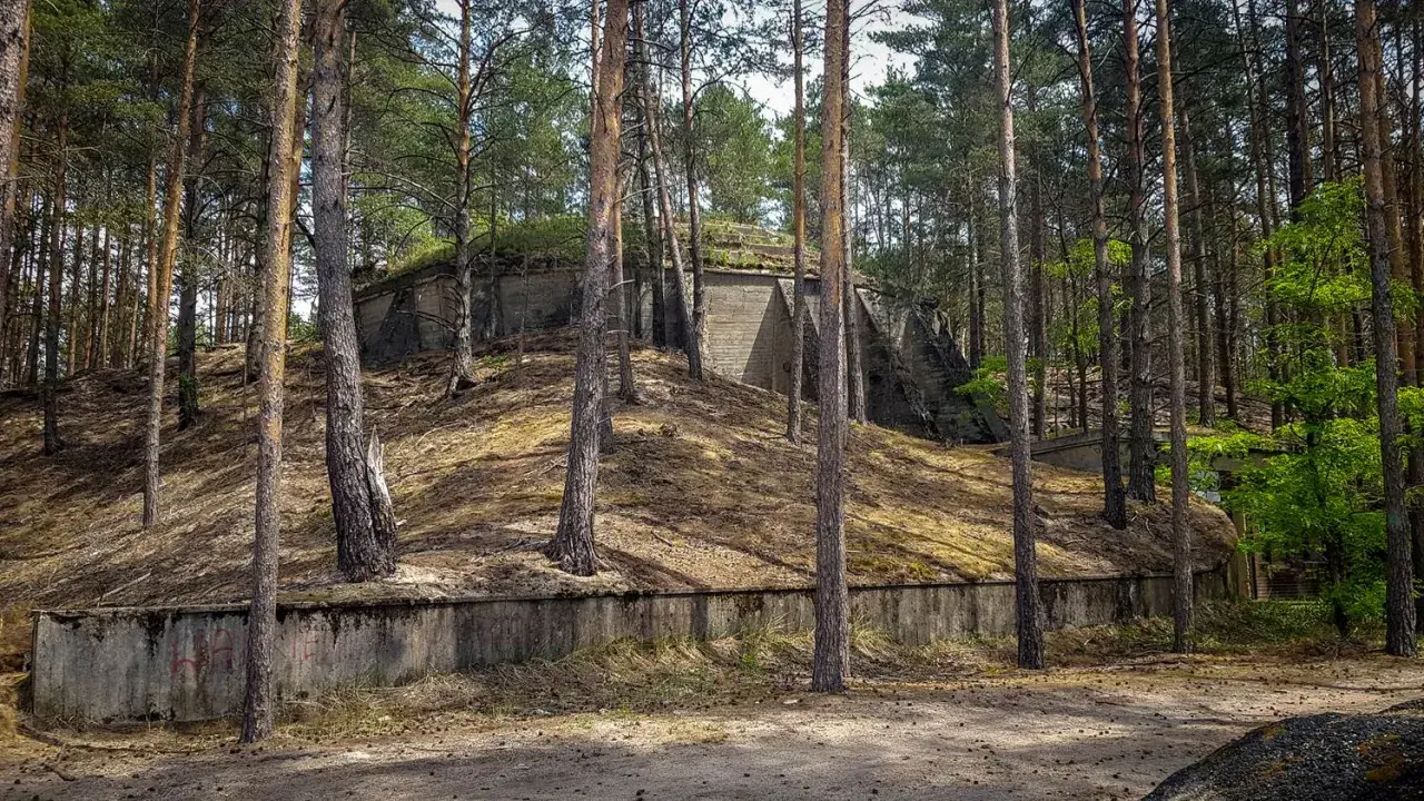 Betonowe bunkry w lesie, pozostałości po dag krzystkowice, porośnięte mchem i otoczone sosnami.