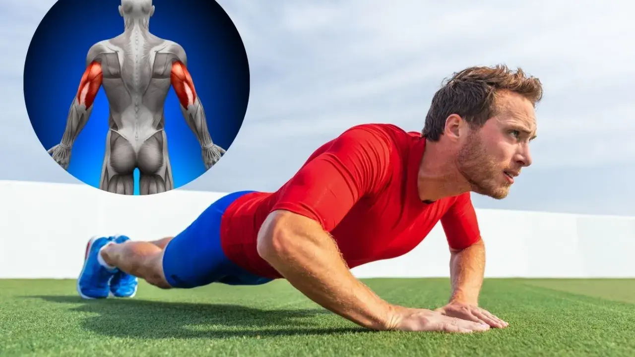 Mann macht Liegestütze, um seinen Trizeps zu trainieren. Ein anatomisches Bild zeigt die beanspruchten Muskeln.