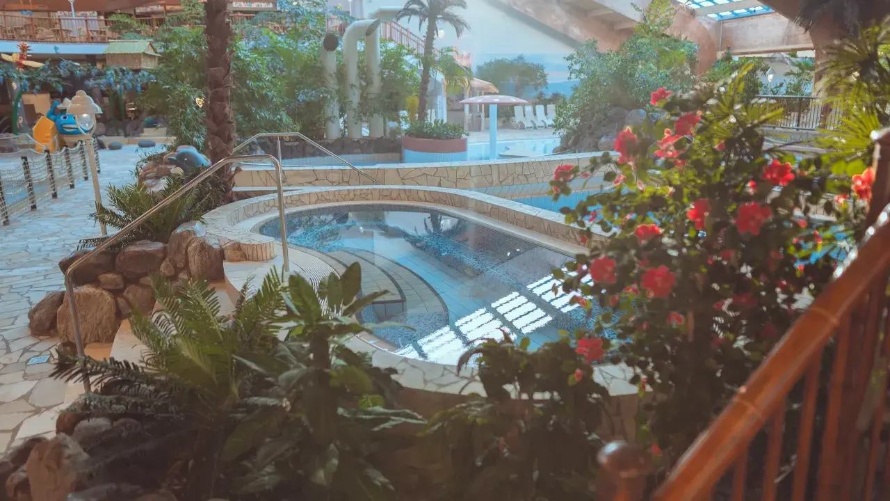 Ein tropisches Paradies im h2o schwimmbad mit Palmen, üppiger Vegetation und einem einladenden Poolbereich.
