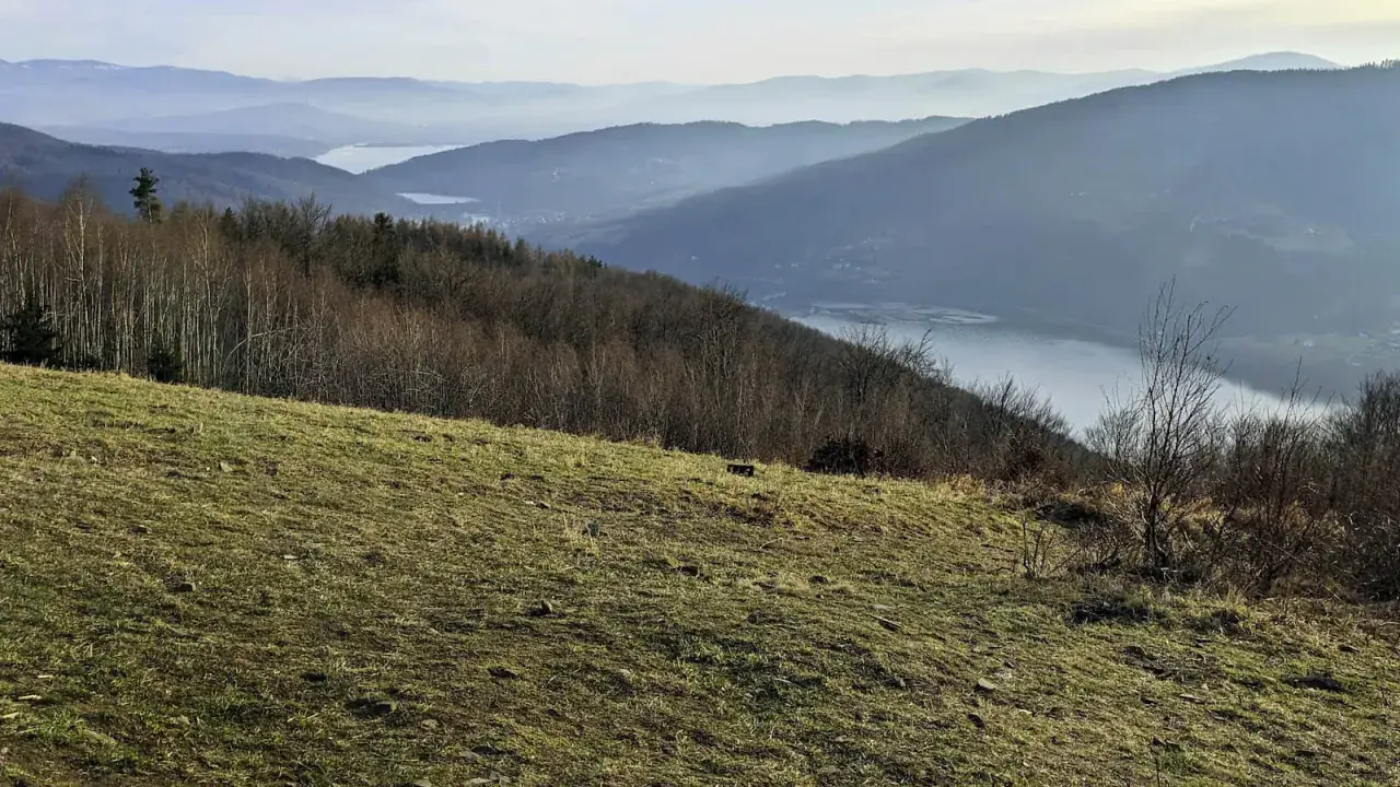 Widok na jezioro i góry w Beskidach. Idealne miejsce na krótkie szlaki w Beskidach, gdzie można podziwiać malownicze krajobrazy.