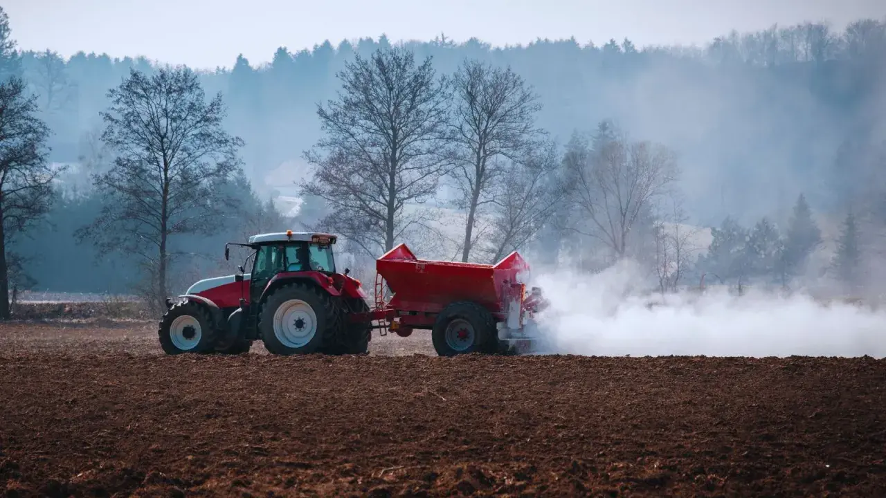 Czerwony traktor z przyczepą rozsypuje nawóz na polu. To przygotowanie gleby, by warzywa lubiące wapnowanie, jak pomidory czy kapusta, dobrze rosły.