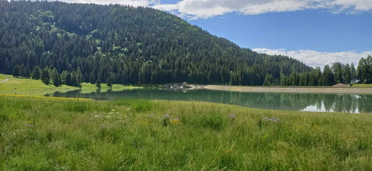 Prato fiorito e verdeggiante che si estende verso il lago di Lova, incastonato tra una rigogliosa foresta di conifere e un cielo azzurro con nuvole bianche.