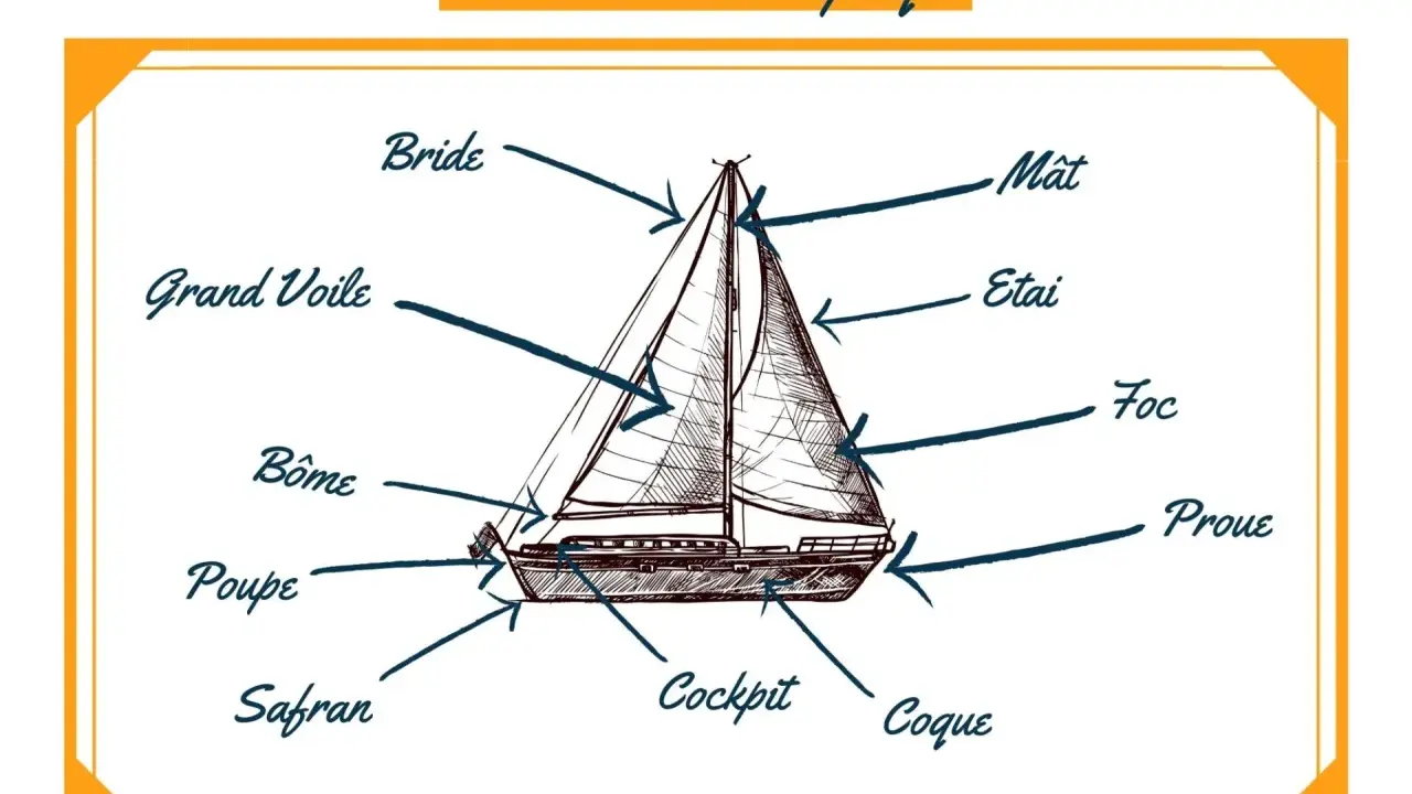 Illustration d'un voilier avec différentes parties d'un bateau étiquetées : mât, grand voile, foc, proue, poupe, safran, cockpit, coque, bôme, étai, bride.