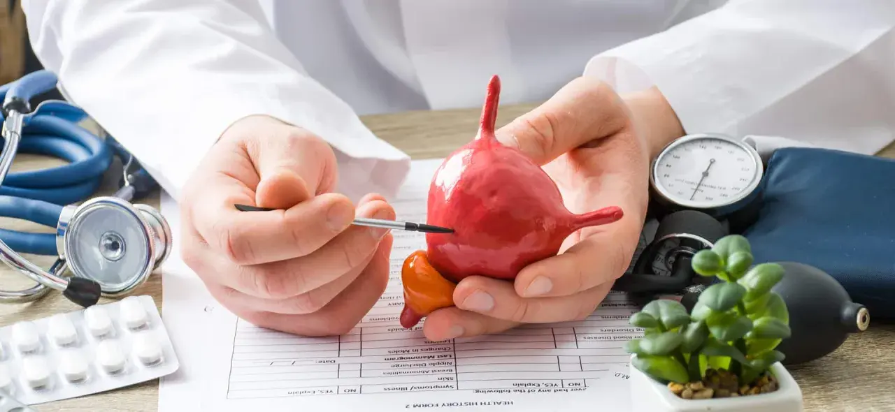 Lekarz omawia model pęcherza, wyjaśniając problemy związane z pęcherzem neurogennym. Obok leżą stetoskop i ciśnieniomierz.