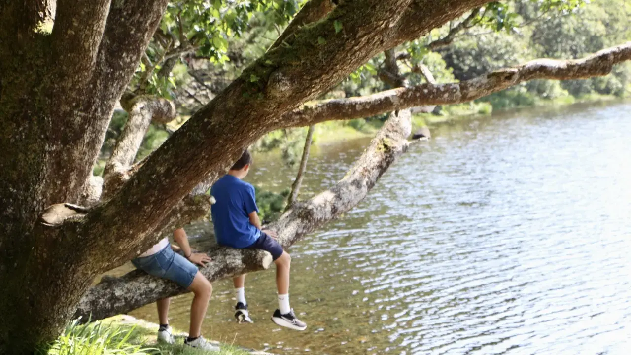 Dos niños disfrutan de un día soleado en Irlanda, sentados en una rama de árbol junto a un lago.