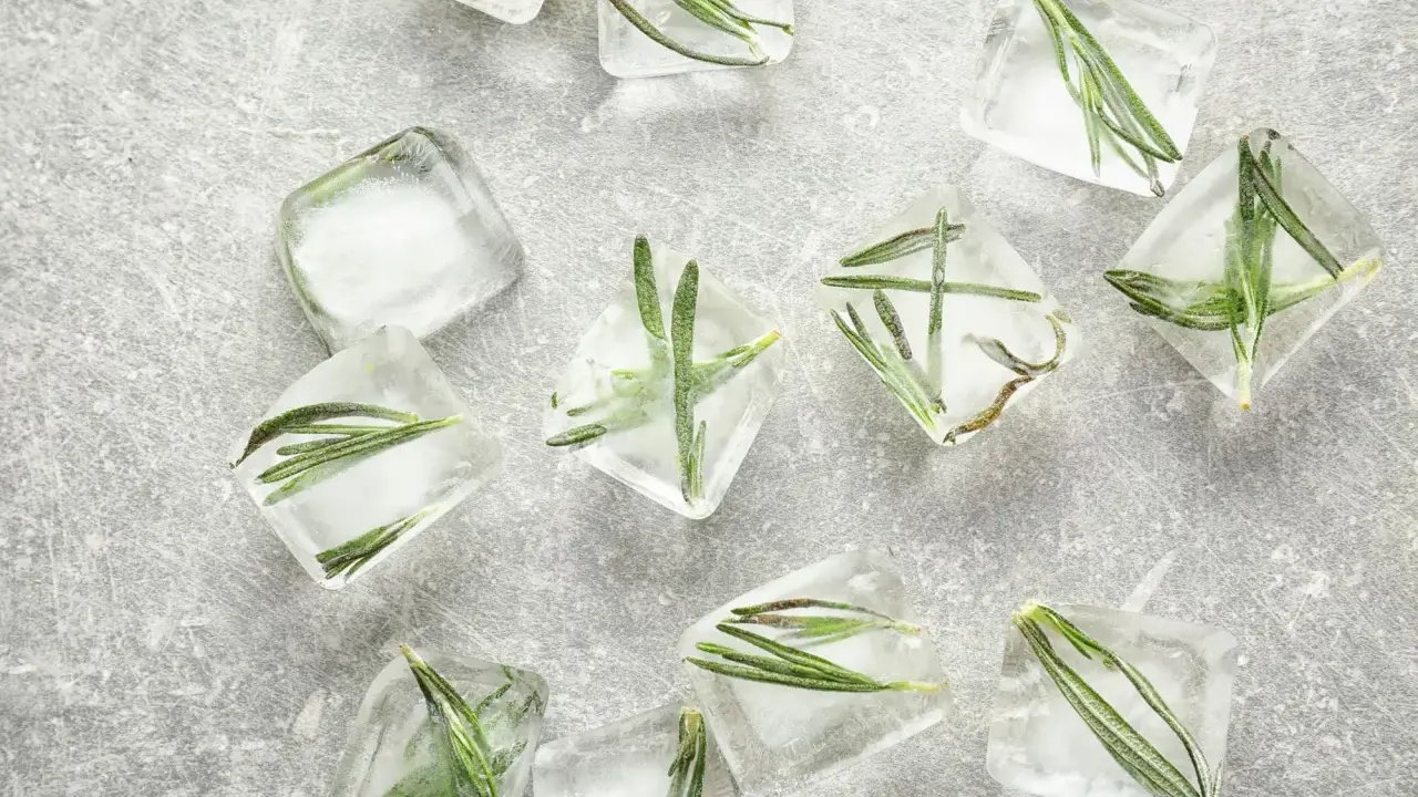 Rosmarin einfrieren: Frische Kräuter in Eiswürfeln für aromatische Cocktails und Gerichte.