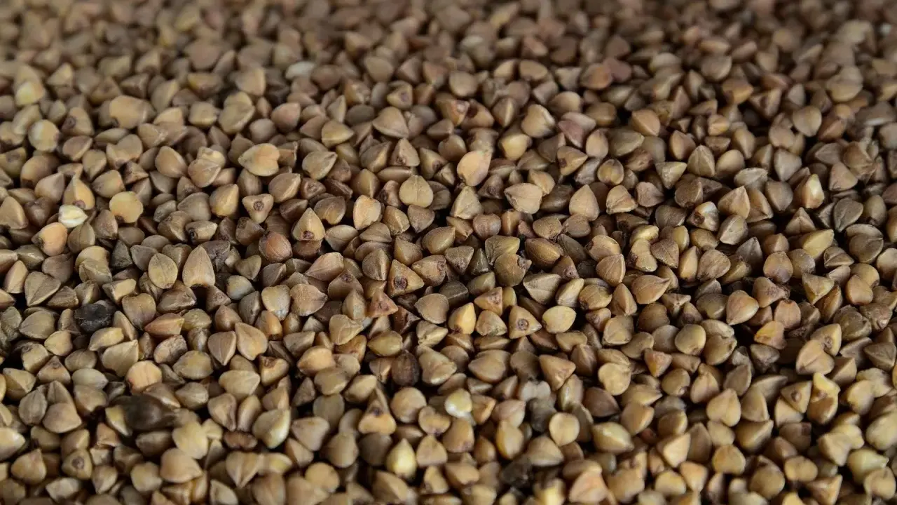Grains de sarrasin bruns, parfaits pour une alimentation saine. La farine de sarrasin est une excellente source de nutriments et ses calories sont raisonnables.