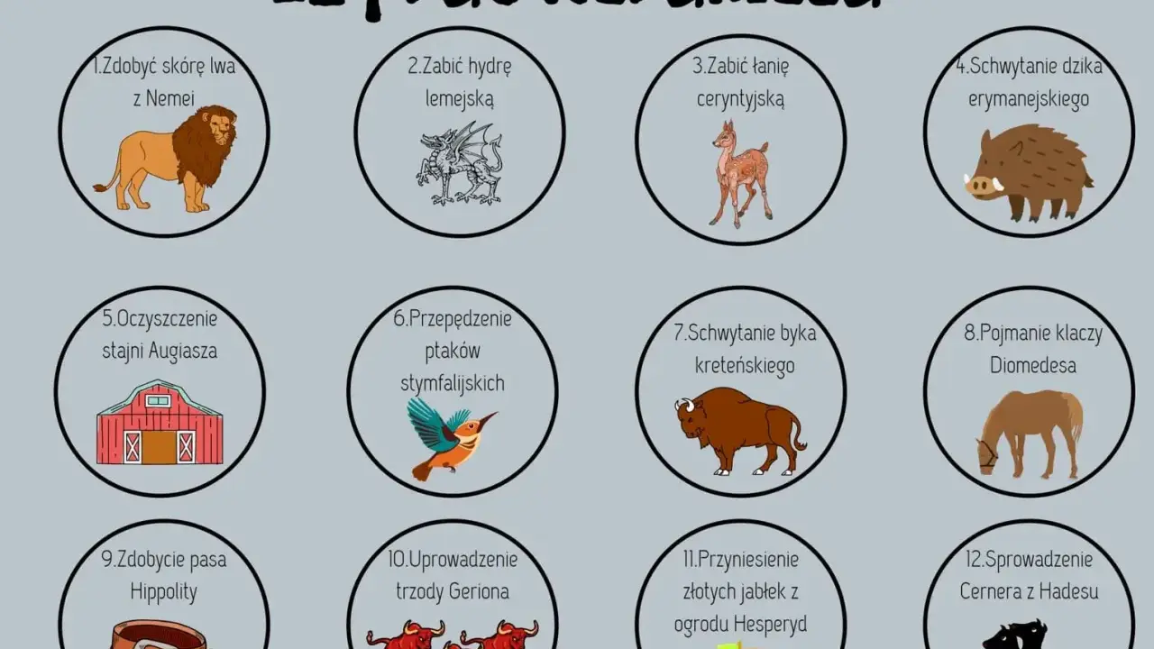 Ilustracja przedstawia 12 prac Heraklesa: lwa, hydrę, łanię, dzika, stajnię, ptaki, byka, klacze, pas, trzodę, jabłka i Cerbera.