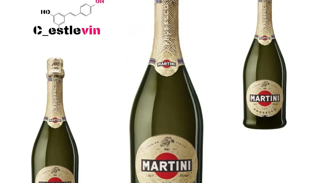 Prosecco: Jakie to wino? Rodzaje, smaki, sekrety przewodnik!