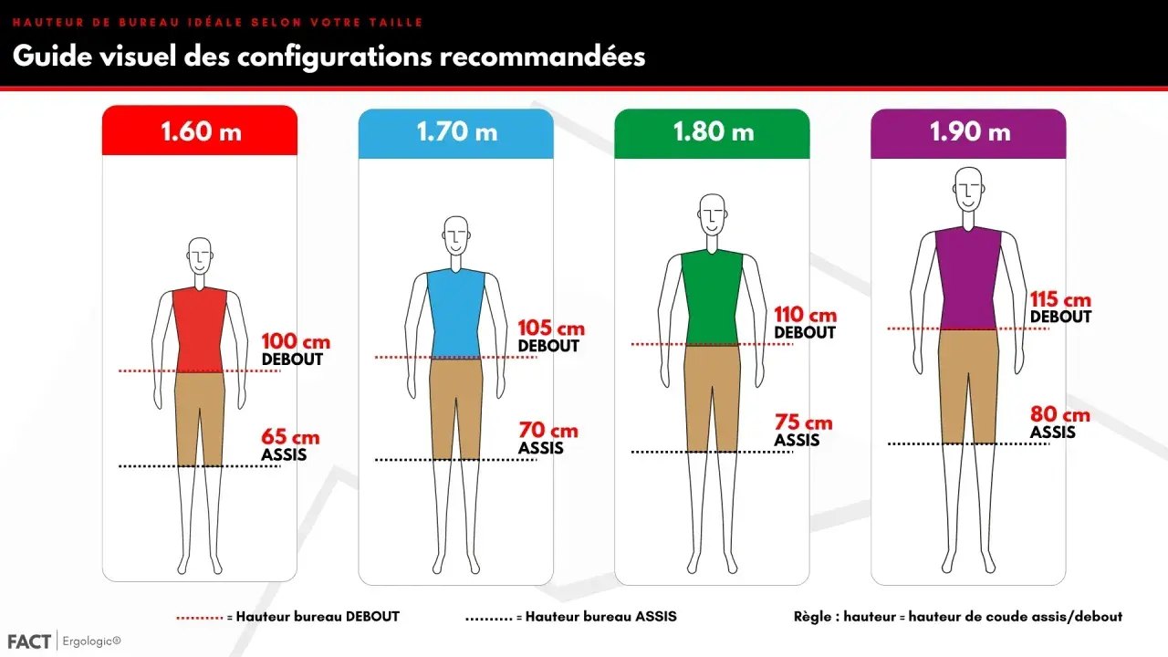 Guide visuel des configurations : la norme hauteur poste de travail debout varie selon votre taille, de 100 cm à 115 cm.