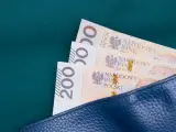 Trzy banknoty po 200 zł w granatowym portfelu. Zastanawiasz się, ile wynosi zasiłek celowy?