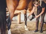 Une femme nettoie le sabot d'un cheval, s'assurant que chaque phalange du cheval est en bonne santé.
