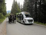 Konny zaprzęg i elektryczny bus na drodze do Morskiego Oka. Bilety na przejazd można kupić w kasie.