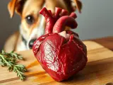Serca drobiowe dla psa – zdrowe przysmaki, które wspierają serce i wagę