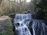 Cascade d'eau dans une forêt, un chemin de terre longe la rivière. Au fond, un tunnel voûté suggère une source d'arcier.