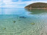 Piękne livorno plaże z krystalicznie czystą wodą i piaszczystym dnem. W oddali widać żaglówkę i zielone wzgórza.