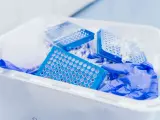 Niebieskie płytki do pipetowania i rękawiczki w pojemniku na odpady laboratoryjne. Kod odpadu 16 03 04.