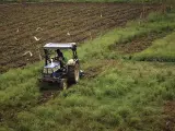 Traktor z kultywatorem pracuje na polu, spulchniając ziemię. Ptaki krążą nad pracującym rolnikiem.