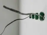 Instalacja elektryczna w ścianie z puszkami pod gniazdka. Uziemienie w gniazdku to klucz do bezpieczeństwa.