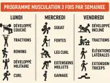 Programme de renforcement musculaire : combien de fois par semaine ? Lundi, mercredi, vendredi : développé couché, tractions, rowing, squat, fentes, leg curl, développé incliné, élévations latérales, extension triceps.