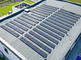 Duży dach płaski pokryty panelami fotowoltaicznymi, które zbierają energię słoneczną.